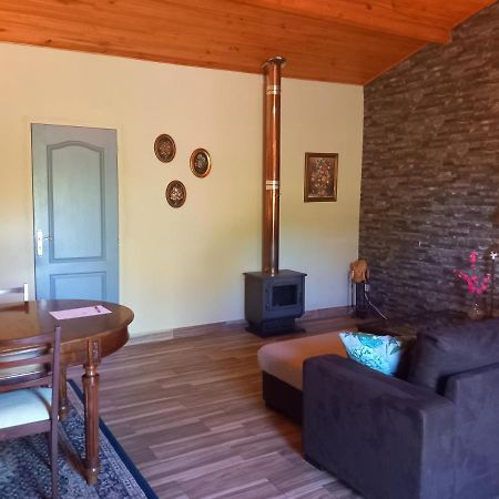 Appartamento O Ninho Do Rei Vila de Rei Esterno foto