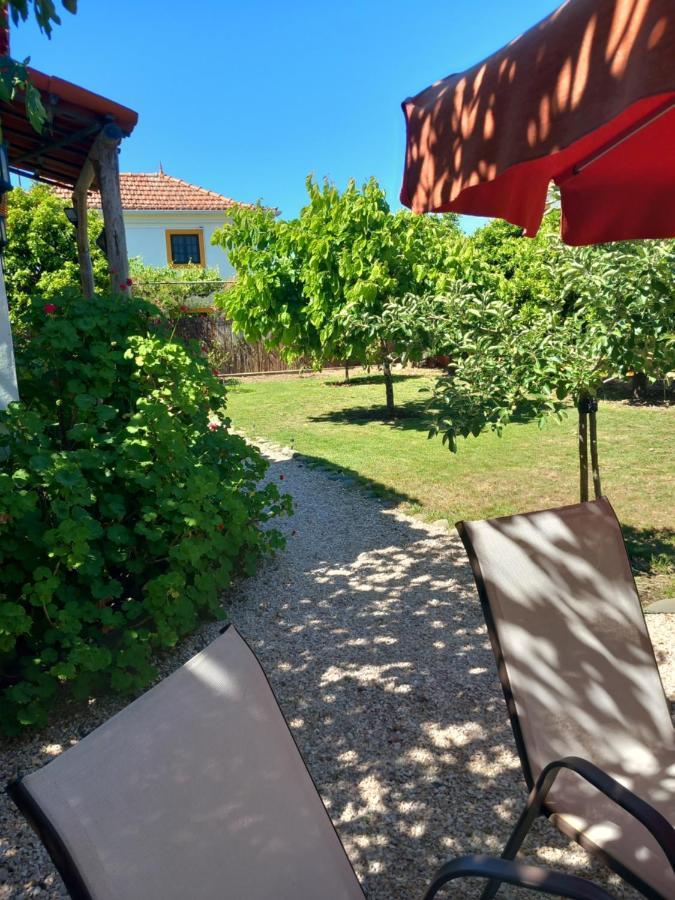 Appartamento O Ninho Do Rei Vila de Rei Esterno foto