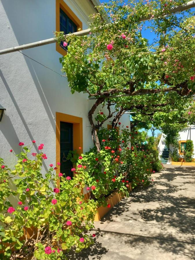Appartamento O Ninho Do Rei Vila de Rei Esterno foto