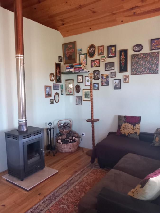 Appartamento O Ninho Do Rei Vila de Rei Esterno foto