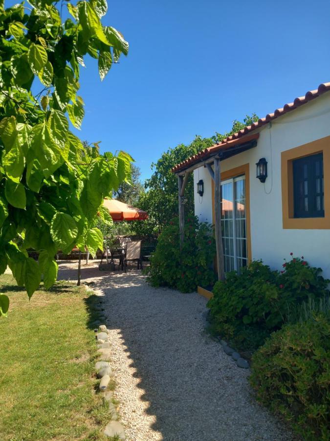 Appartamento O Ninho Do Rei Vila de Rei Esterno foto