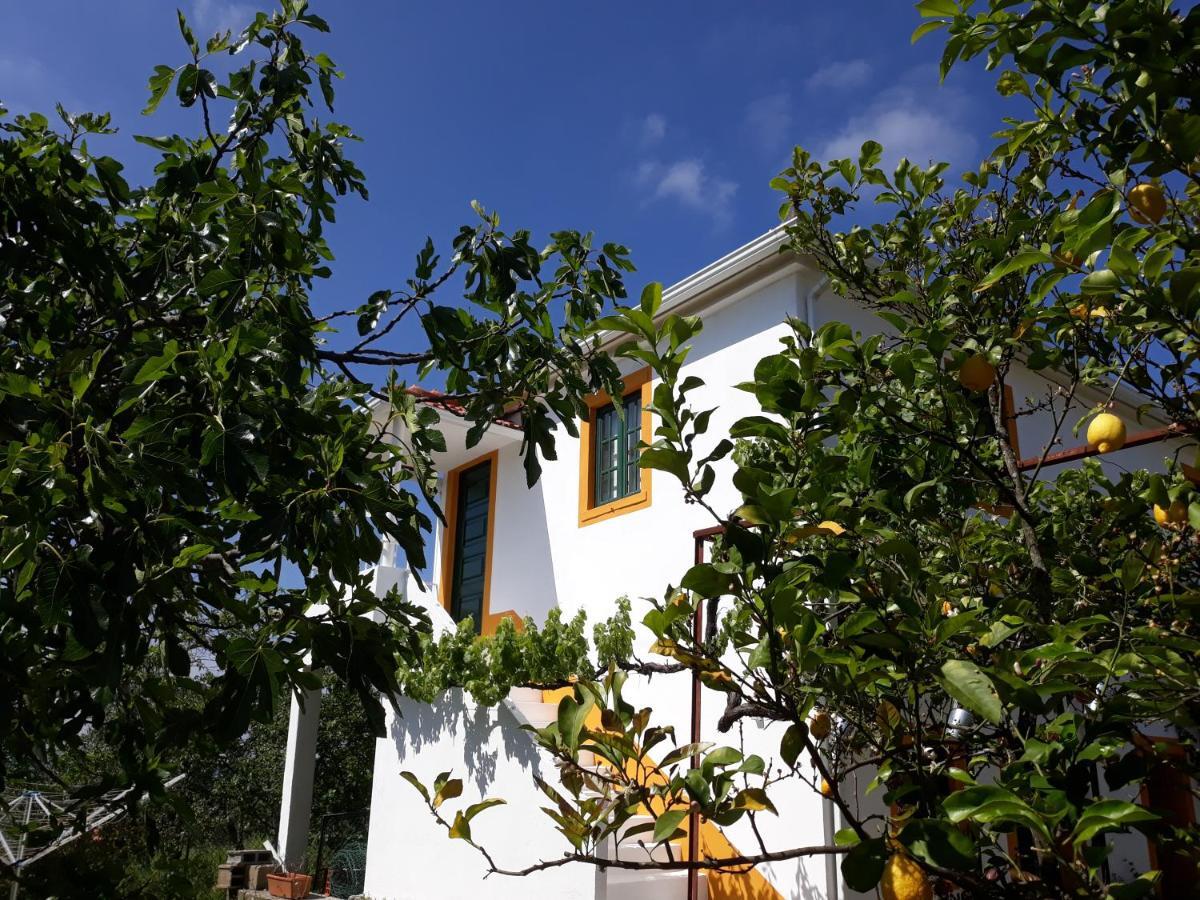 Appartamento O Ninho Do Rei Vila de Rei Esterno foto